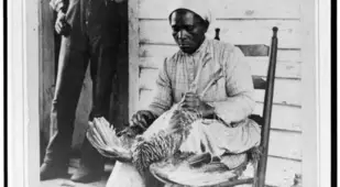 Woman Plucking Thanksgiving Turkey