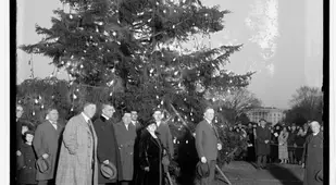 Calvin Coolidge And A Christmas Tree