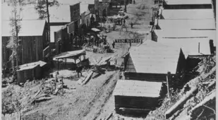 Deadwood In 1876