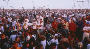 Grateful Dead Fans