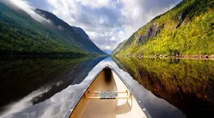 Bird Statue Being Removed