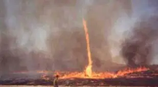 Fire Whirl