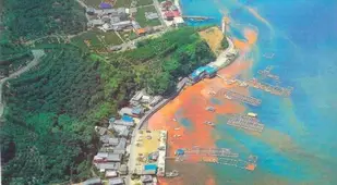 Red Tide