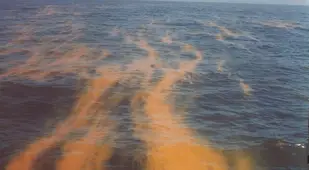 Tide Red