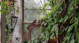 Castle Window