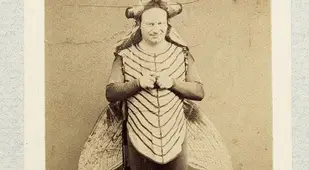 Butterfly Weird Halloween Costume