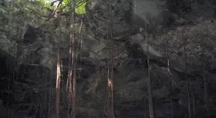 Sunlit Sinkhole