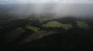 Disappearing Amazon Clearing