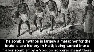 Facts About Zombies