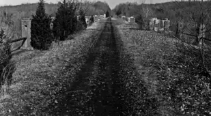 Abandoned Tracks