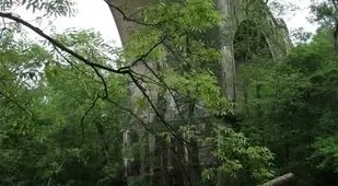 Abandoned Viaduct Arch