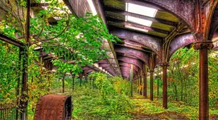 Places Reclaimed By Nature Central Railroad