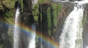 Iguaza Falls Rainbow Moss