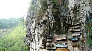 Hanging Coffins Main Image