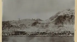 Devastation Of Martinique