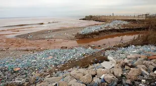 Plastic Beach
