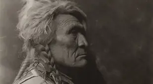 Wolf Crow Tribe