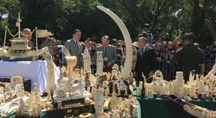 Ivory Ivory