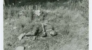Irving Feinstein Body
