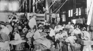 String Beans Being Processed By Hand