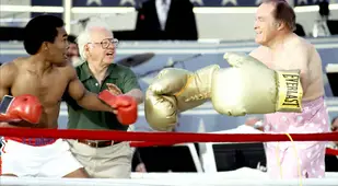 Boxing Match