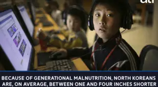 Height Of North Koreans