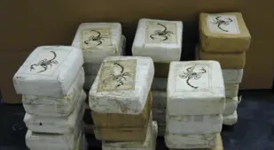 Cocaine Bricks