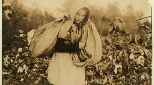 Cotton Picker Oklahoma