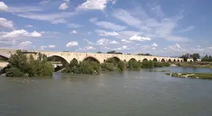 Pont Saint Esprit Poisoning