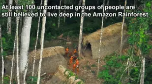 Interesting Facts About Brazil Tribe