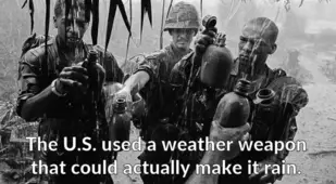 Vietnam War Facts