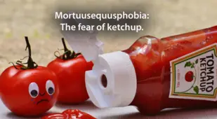 Weird Phobias Ketchup
