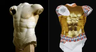 Cuirassed Torso
