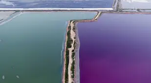 Blue And Purple Water