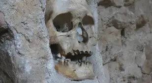 Skull At Niš Tower