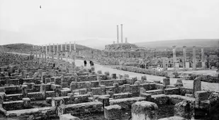 Rows Of Ruins
