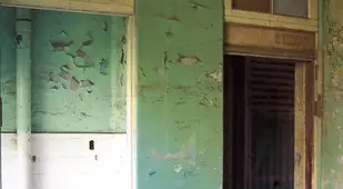 Abandoned Asylum Toilet