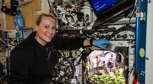 Growing Radishes In Space
