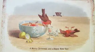 Drunk Birds