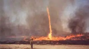 Fire Whirl