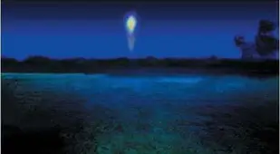 Naga Fireballs