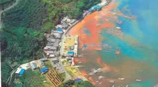 Red Tide