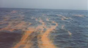 Tide Red