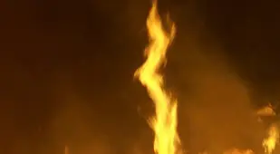 Whirls Fire