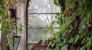 Castle Window