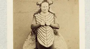 Butterfly Weird Halloween Costume