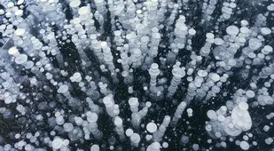 Frozen Bubbles