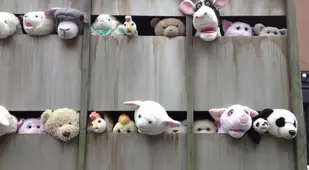 Sirens Of The Lambs Animals