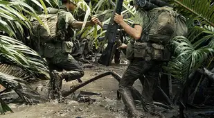 Jungle Mud