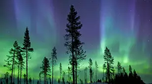 Best Science Photos Of 2013
